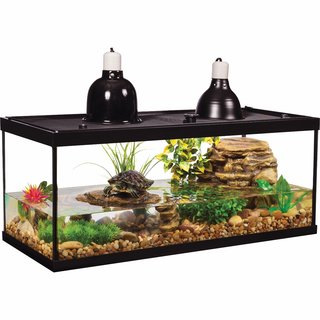 Glass Aquarium Kit